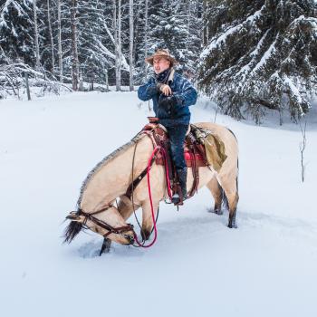 MONTANA HILLS GUEST RANCH - CANADA